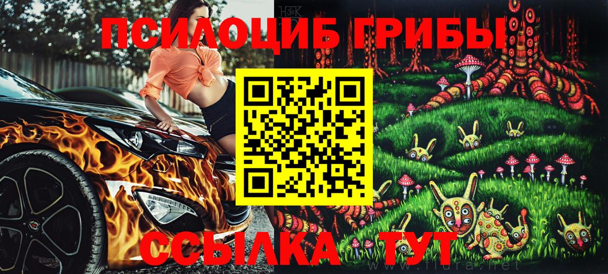 Псилоцибиновые грибы ЛСД  Вход с VPN  Псилоцибиновые грибы ЛСД  Тимашёвск 