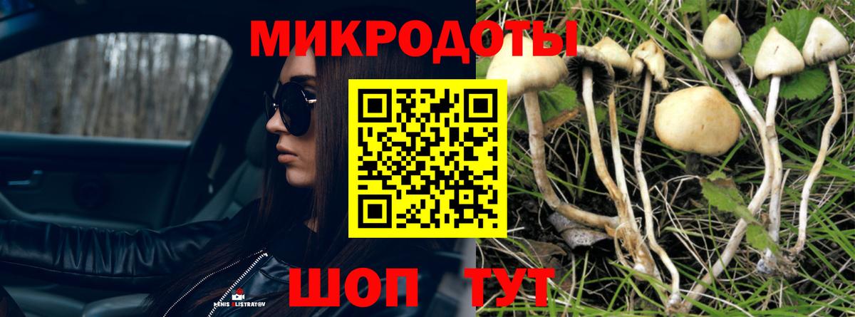 Псилоцибиновые грибы Magic Shrooms Тимашёвск